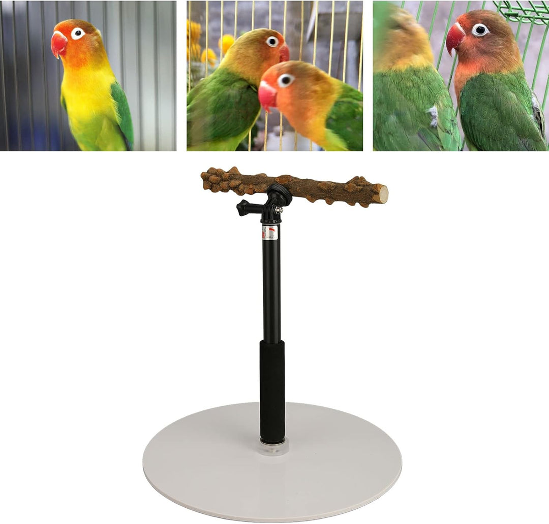 Papageien-Spielständer, Verstellbare Vogelstange, Tragbarer, Abnehmbarer Papageien-Spielständer für