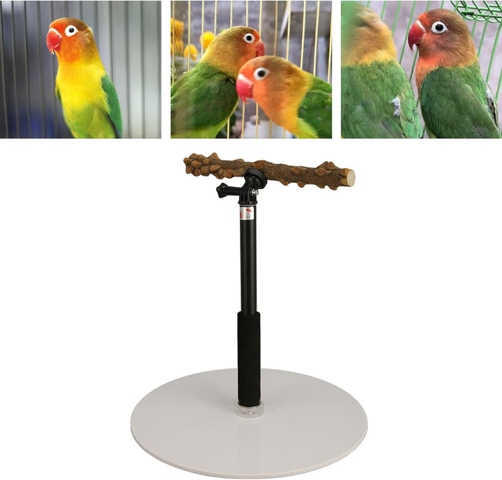 Papageien-Spielständer, Verstellbare Vogelstange, Tragbarer, Abnehmbarer Papageien-Spielständer für