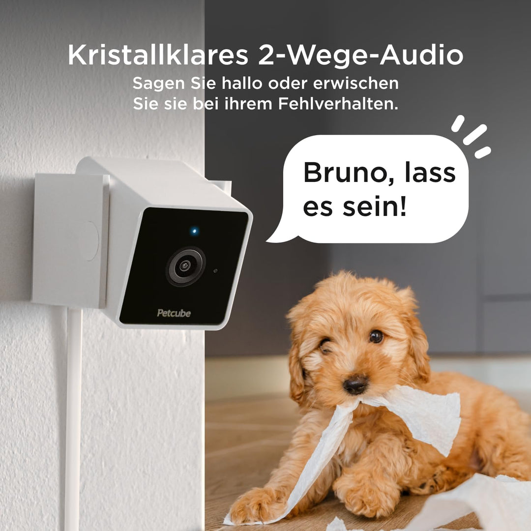 Petcube Cam Pet Monitoring Camera (Haustierüberwachungskamera) mit integriertem Tierarzt-Chat für Ka