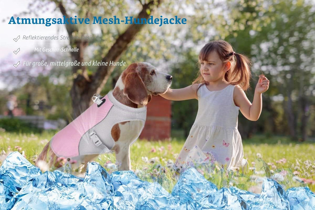 Hundekühlweste Atmungsaktives Mesh Hundejacke Sommer Cooler und Komfortabler Hundemantel Verstellbar