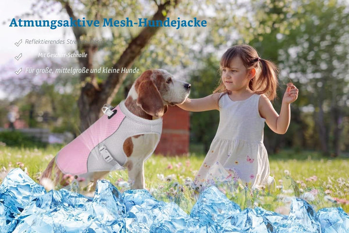 Hundekühlweste Atmungsaktives Mesh Hundejacke Sommer Cooler und Komfortabler Hundemantel Verstellbar