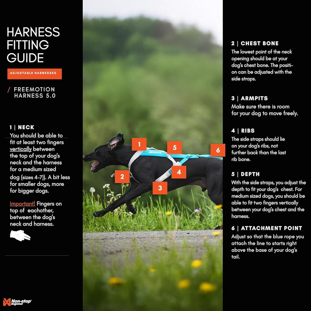 Non-stop dogwear FREEMOTION Harness 5.0 |111| Hundegeschirr für alle Sportarten, Grösse:5, 5