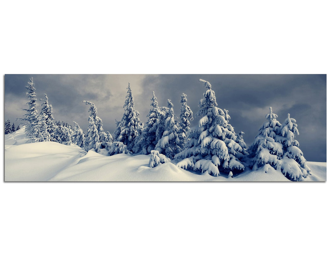 Paul Sinus Art Panoramabild auf Leinwand und Keilrahmen 120x40cm Winterlandschaft Bäume Schnee Wolke