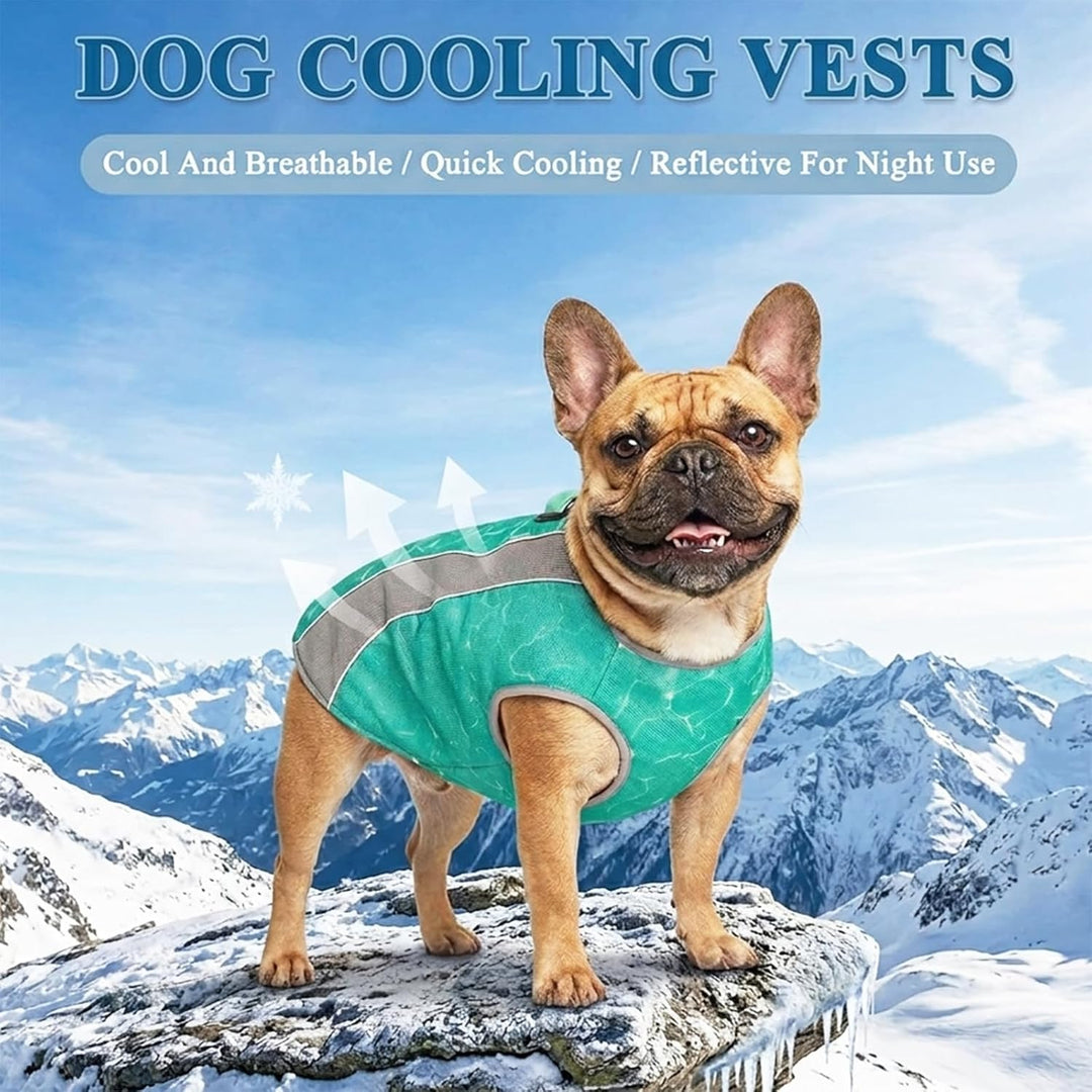 Hundekühlweste mit Geschirr, Outdoor-Welpenkühljacke mit verstellbarem Reissverschluss, reflektieren