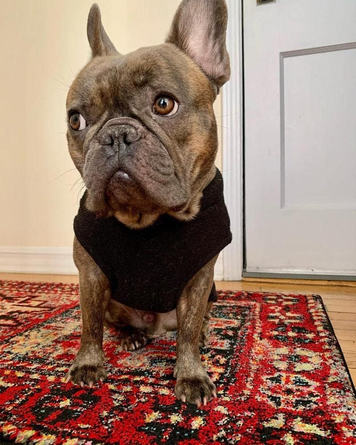 Gooby - Stretch Fleece Weste Pullover Fleece Weste Jacke Sweater für Hunde, Schwarz, Grösse M schwar