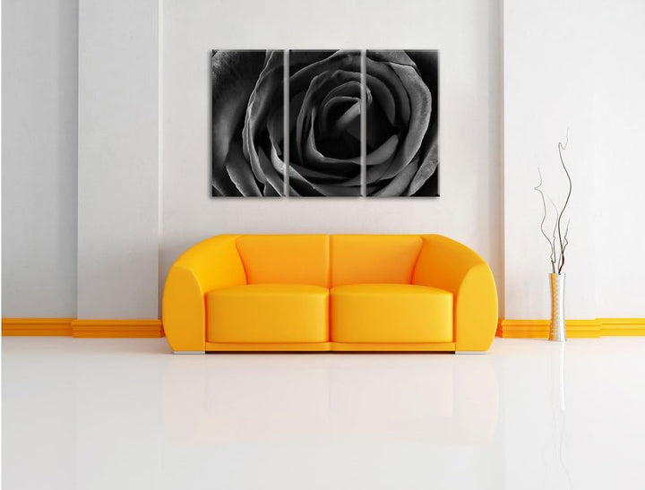 Pixxprint Rote Rose als Leinwandbild/Grösse: 3 Teilig (120x80) cm/Wandbild/Kunstdruck/fertig bespann