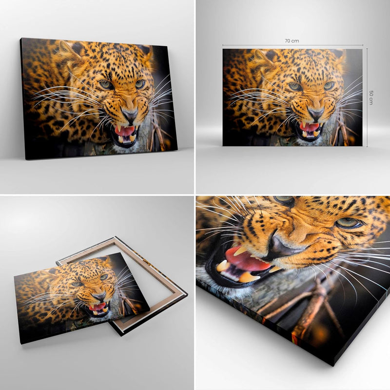 Bilder auf Leinwand Leopard tier savanne afrika Leinwandbild 70x50cm Wandbilder Dekoration Wohnzimme