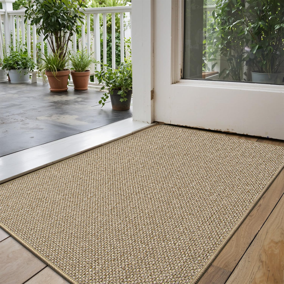 DEXI Fussmatte Innen 92 x 142 cm, rutschfest Schmutzfangmatte, waschbar Fussmatte, Dünne Eingangstür