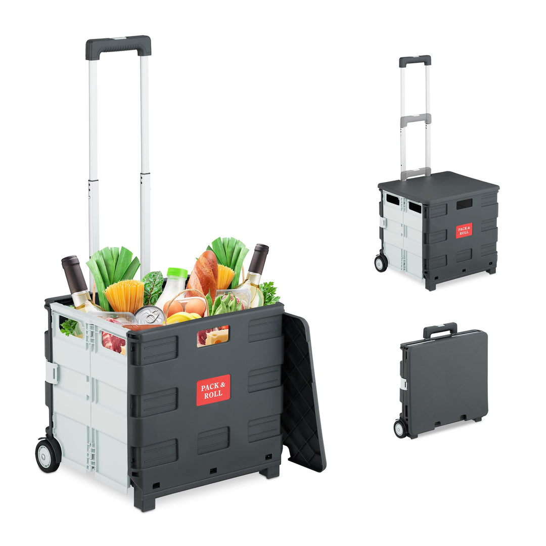 Relaxdays Einkaufstrolley, klappbar, Einkaufskorb mit Rollen, Deckel & Teleskopgriff, bis 35 kg, Rol
