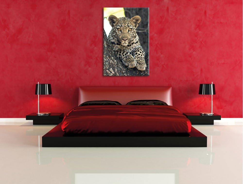 Pixxprint Leopardenbaby, Format: 100x70 auf Leinwand, XXL riesige Bilder fertig gerahmt mit Keilrahm