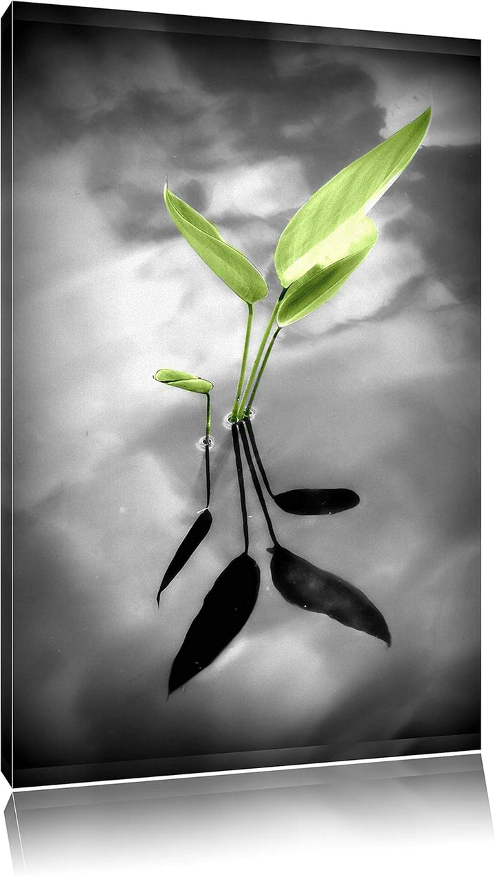 Pixxprint grüne Blätter im Wasser auf Leinwand, XXL riesige Bilder fertig gerahmt mit Keilrahmen, Ku