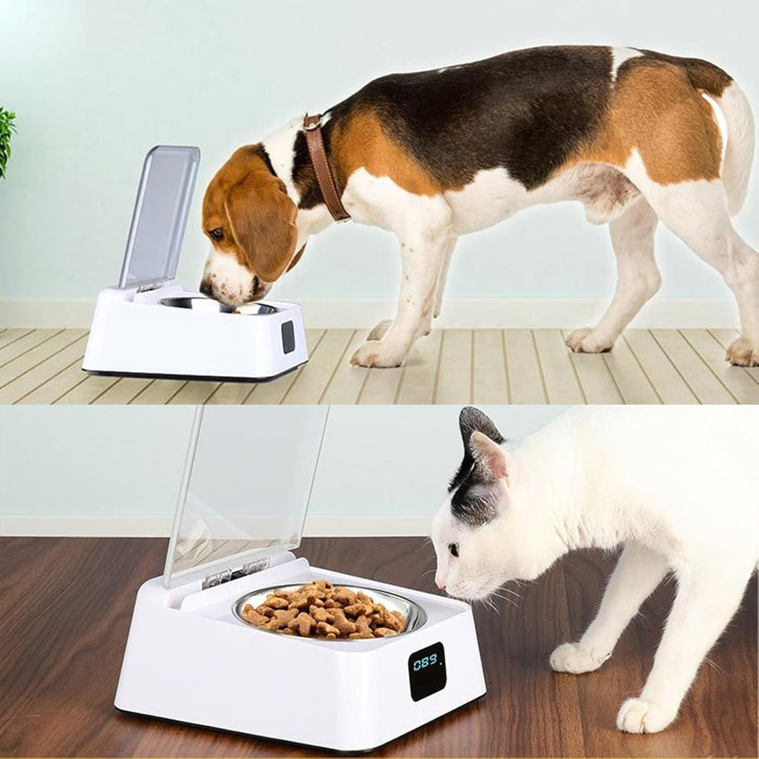 Pet Smart Feeder, Futternapf für Hunde und Katzen für Kleine und Mittelgrosse Haustiere, 350 Ml Offe