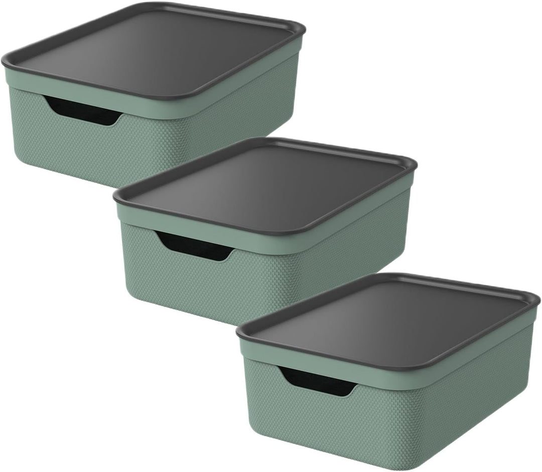 Rotho Jive 3er-Set Aufbewahrungsbox 10l mit Deckel Grün, Grün