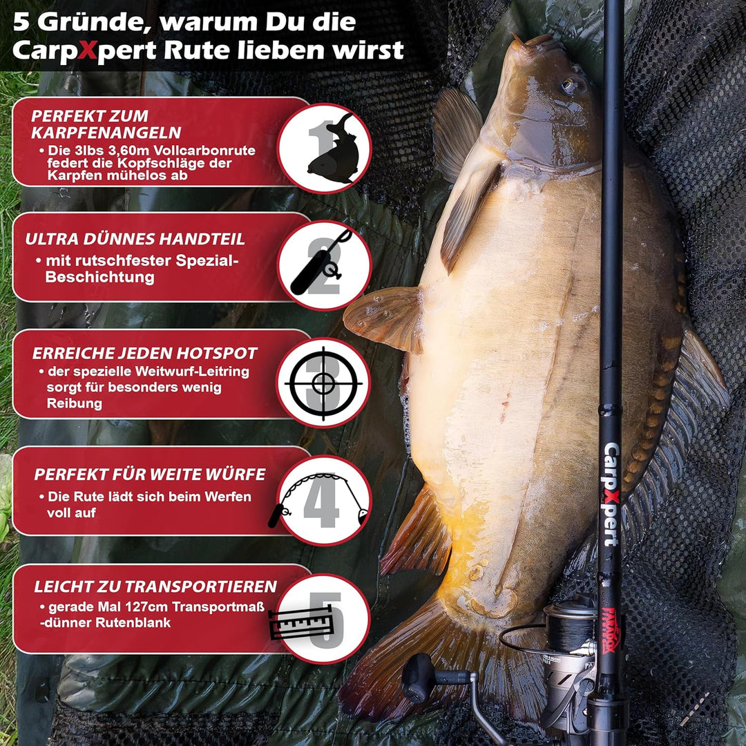 Karpfenrute CarpXpert 12ft 3,60m 3 LBS 3-teilig mit 5000 Carp Runner Karpfenrolle – Karpfen Angel Ka