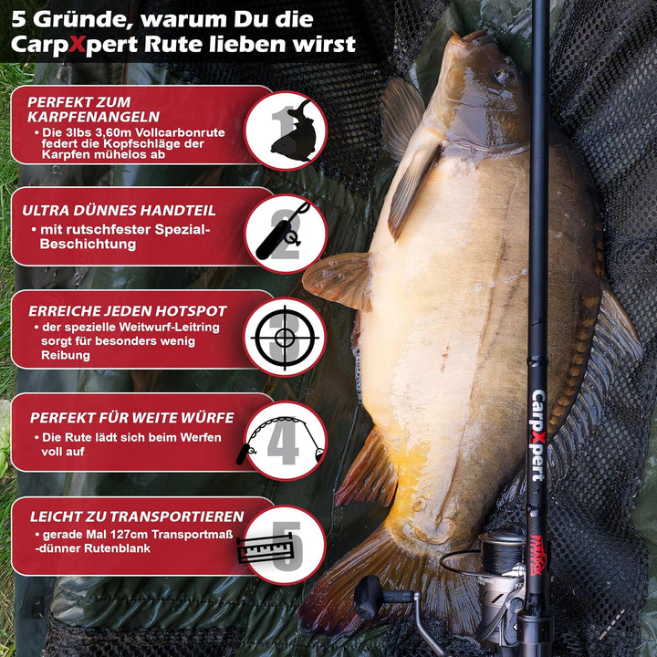 Karpfenrute CarpXpert 12ft 3,60m 3 LBS 3-teilig mit 5000 Carp Runner Karpfenrolle – Karpfen Angel Ka
