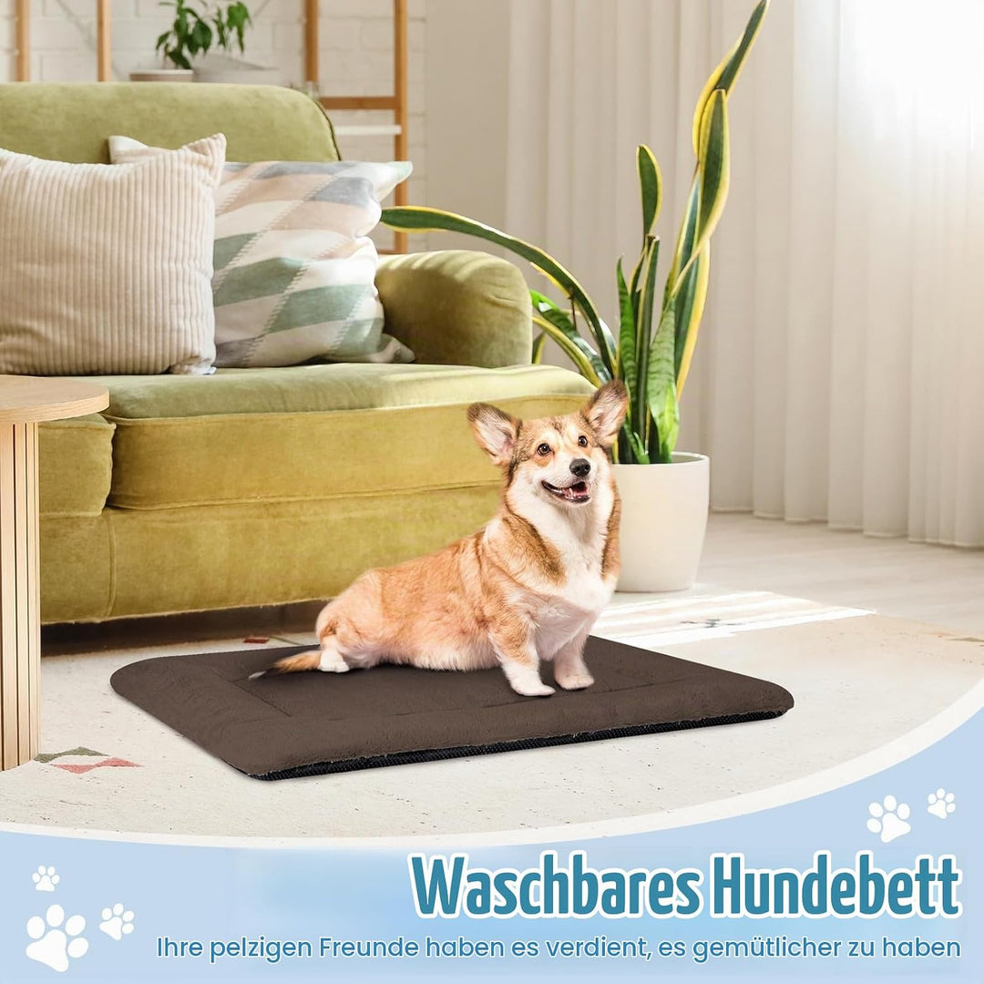 Baodan Hundebett Kleine Hunde Waschbar, 75x50 cm Hundekissen Flauschig mit rutschfeste Unterseite, H