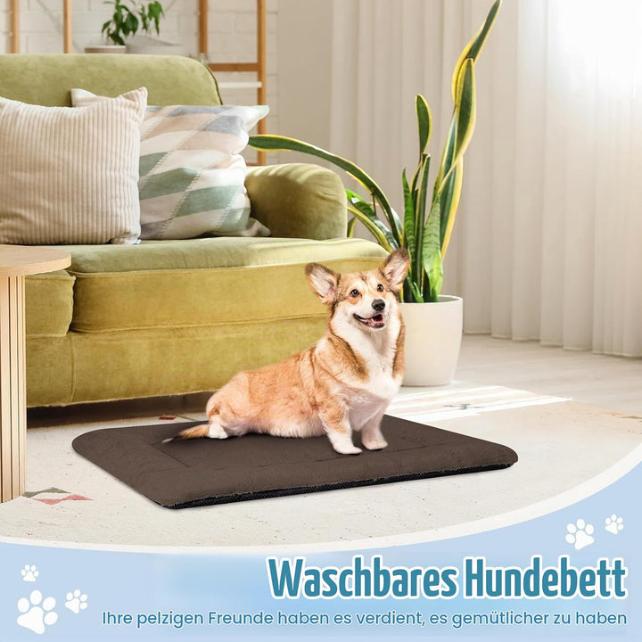 Baodan Hundebett Kleine Hunde Waschbar, 75x50 cm Hundekissen Flauschig mit rutschfeste Unterseite, H