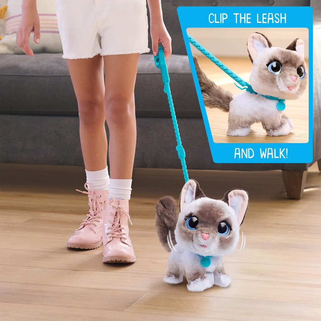furReal Wag-A-Lots Kitty interaktives Spielzeug, 20 cm gross, hüpfendes Plüschkätzchen mit Soundeffe