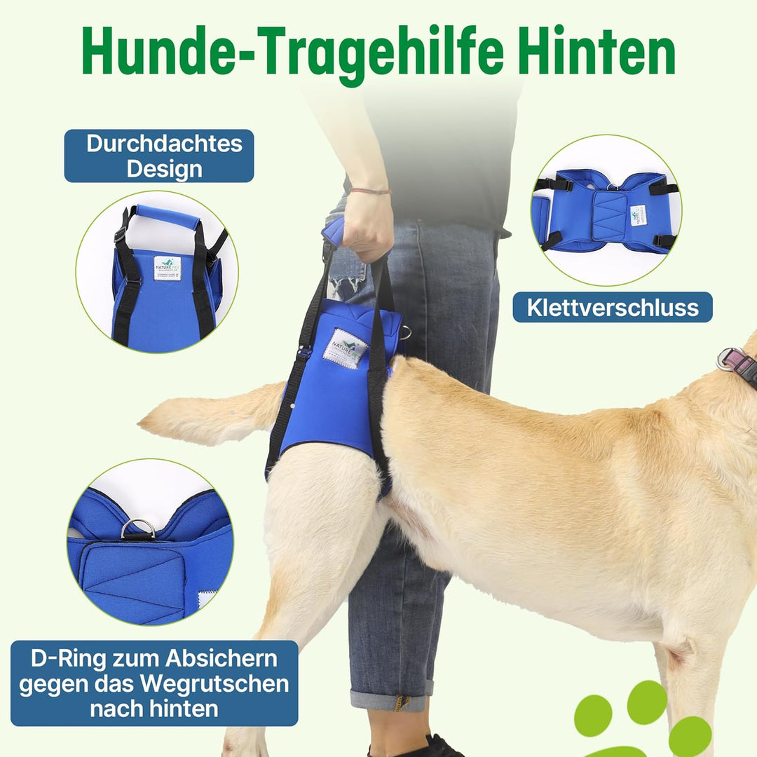 Hunde Tragehilfe XL Blau/ Hunde Gehhilfe / Hunde Rehahilfe, das Hilfsgeschirr für Probleme an der Wi