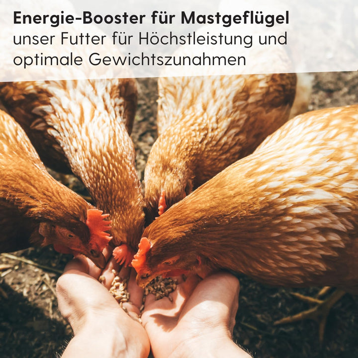 Leimüller Geflügelmastfutter 25 kg - Artgerechtes Futter ohne GVO und Staub