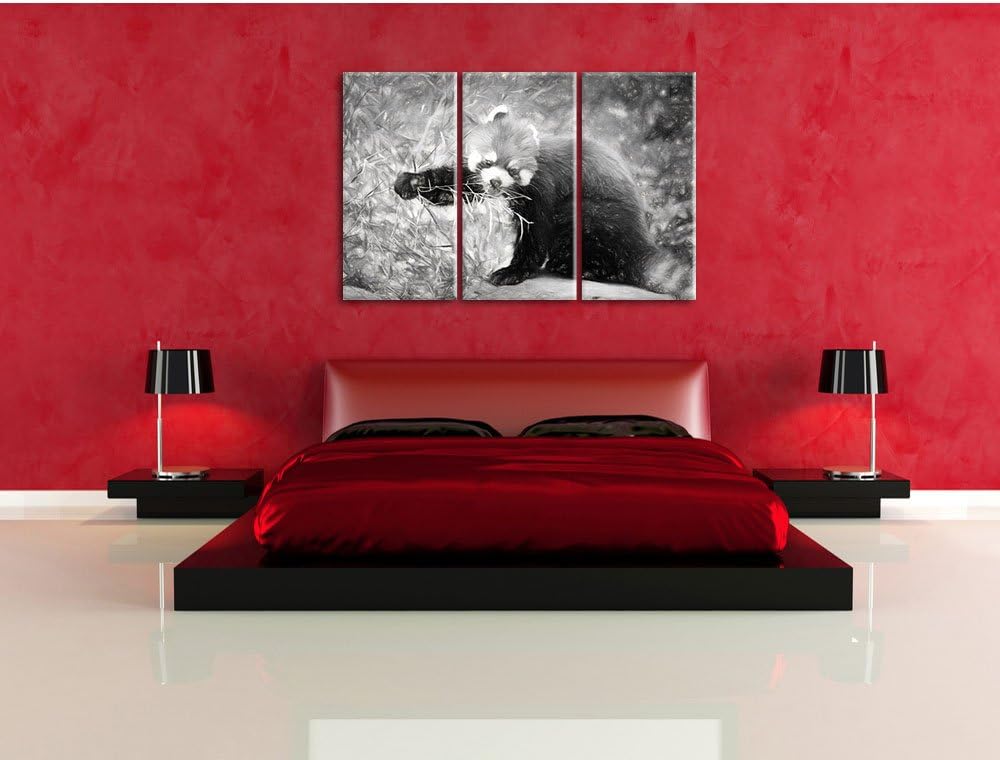 Pixxprint Niedlicher roter Panda Kohle Zeichnung Effekt 3-Teiler Leinwandbild 120x80 Bild auf Leinwa
