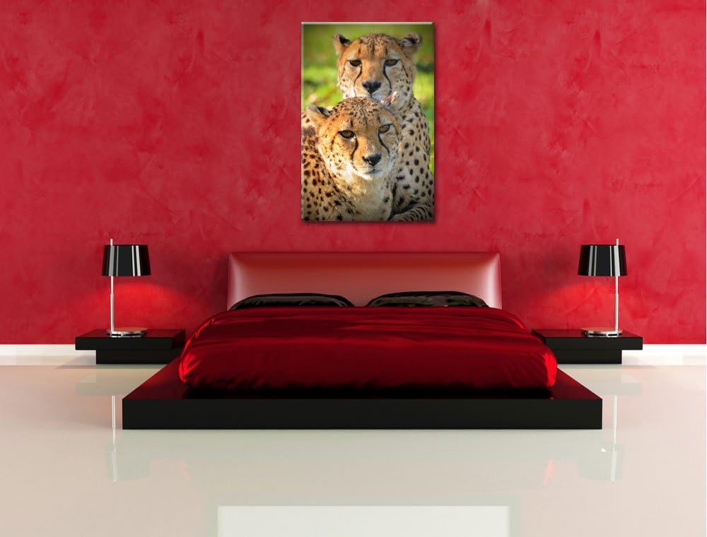Pixxprint schönes Geparden-Paar auf Leinwand, XXL riesige Bilder fertig gerahmt mit Keilrahmen, Kuns