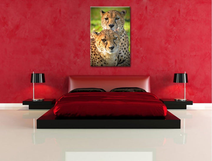 Pixxprint schönes Geparden-Paar auf Leinwand, XXL riesige Bilder fertig gerahmt mit Keilrahmen, Kuns