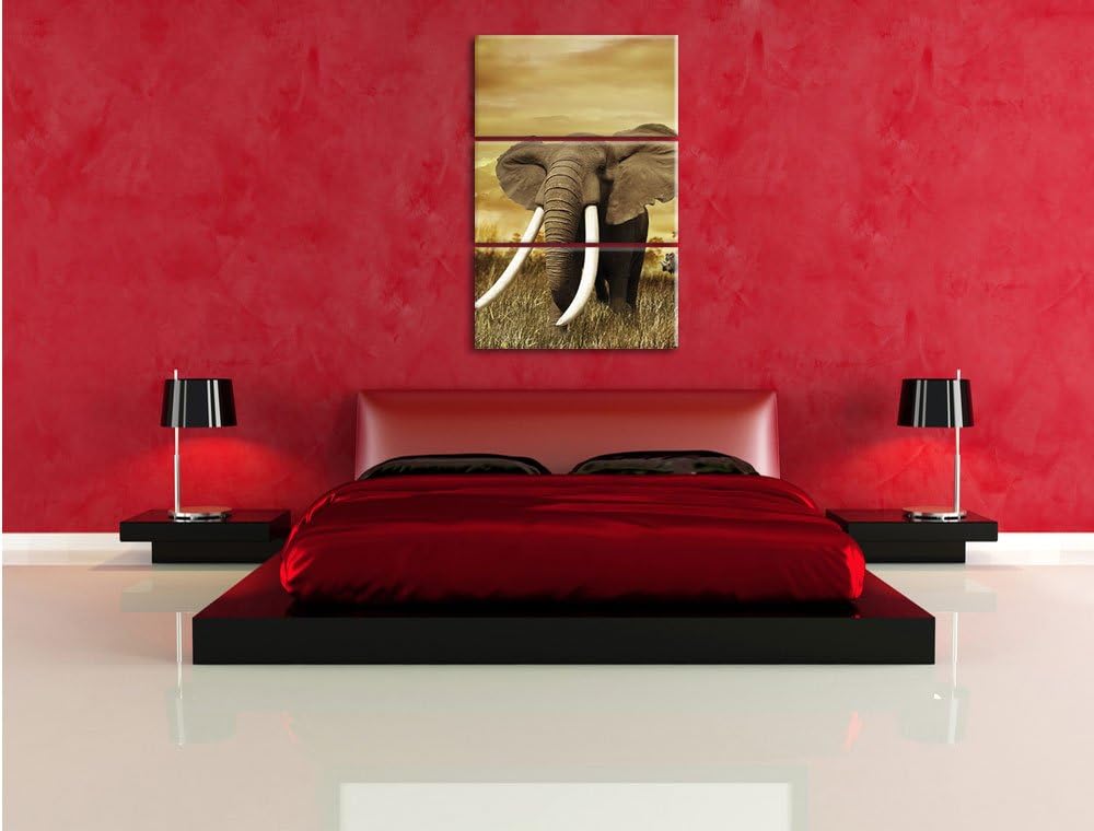 Pixxprint Stolzer Elefant in Savanne als Leinwandbild/Grösse: 3 Teilig (120x80) cm/Wandbild/Kunstdru