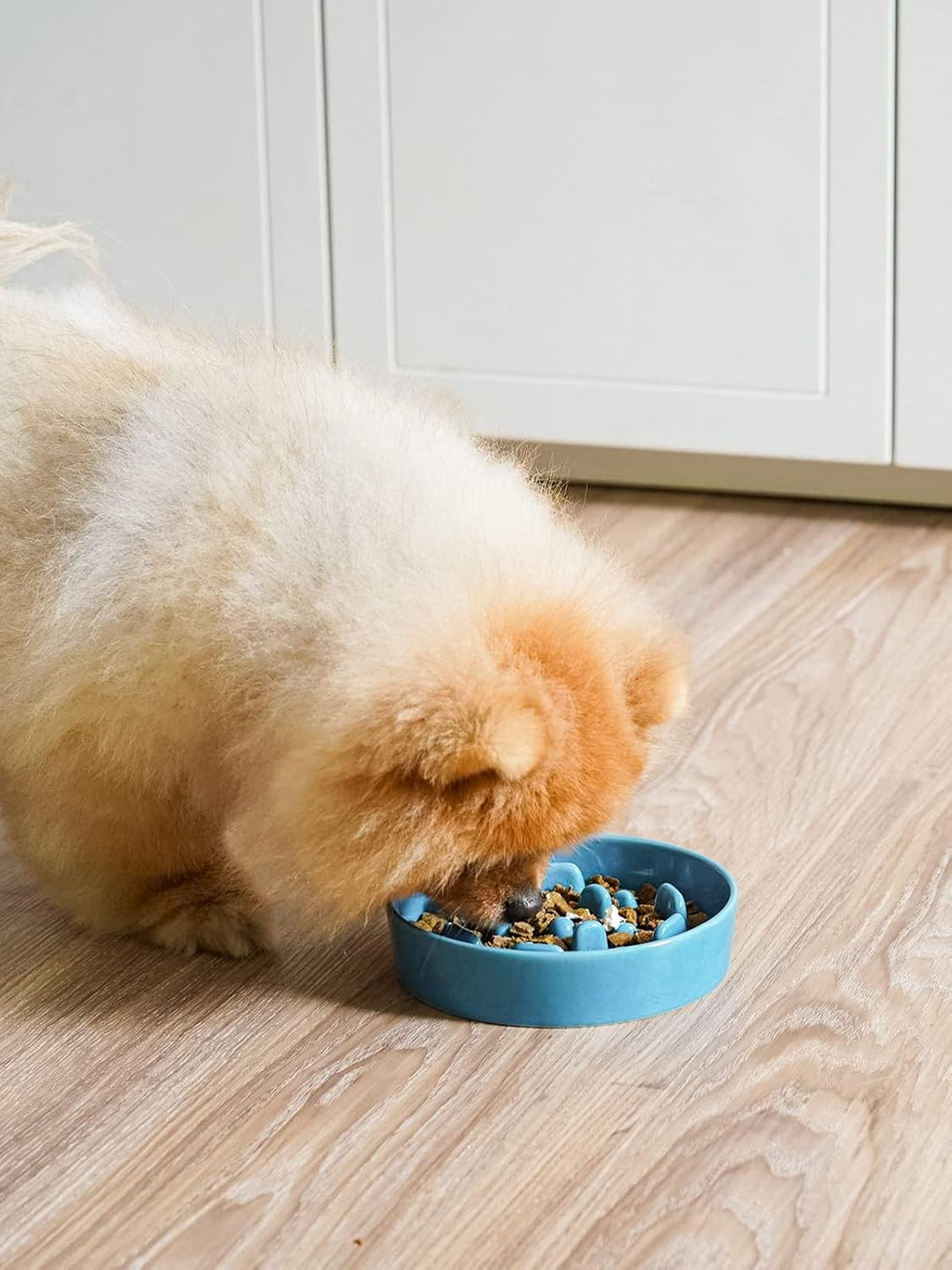 LE TAUCI Hundenapf aus Keramik, Antischlingnapf für Mittelgrosse und Kleine Hunde, Langsam Fressen u