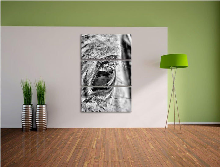 Pixxprint schöne grosse Pferdeaugen als Leinwandbild | Grösse: 3 Teilig (120x80) | Wandbild| Kunstdr