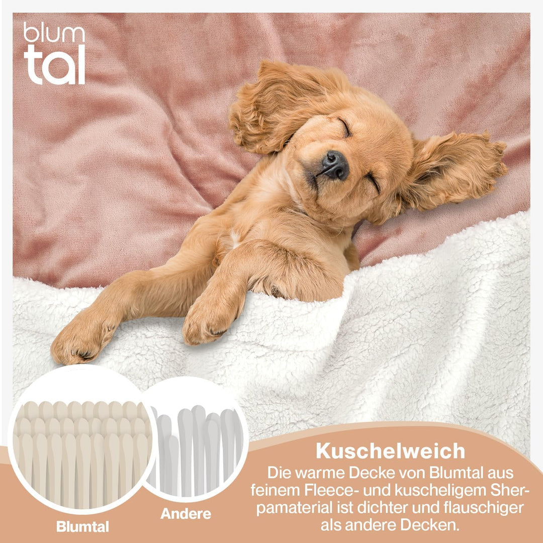 Blumtal Premium Sherpa Kuscheldecke 150 x 200 cm - warme Decke Oeko-TEX® zertifizierte Dicke Sofadec
