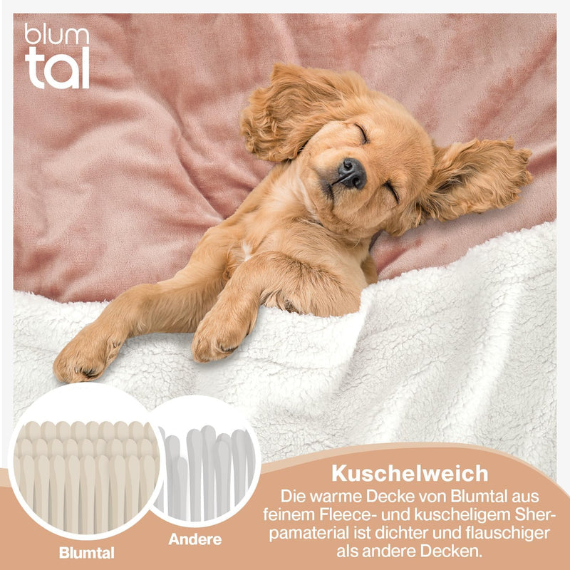 Blumtal Premium Sherpa Kuscheldecke 150 x 200 cm - warme Decke Oeko-TEX® zertifizierte Dicke Sofadec