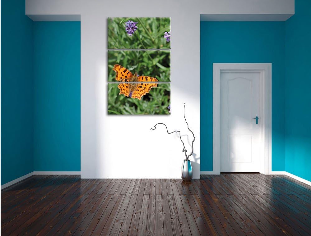 Pixxprint Schmetterling auf Blumenwiese / 3-Teilig/Gesamtmass 120cm Leinwandbild bespannt auf Holzra