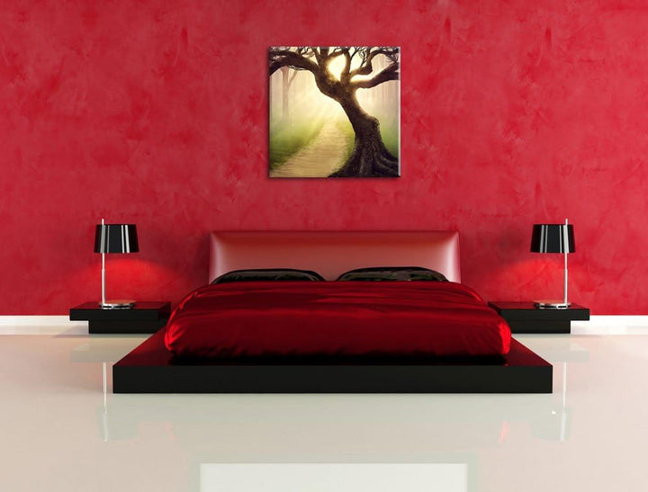 Riesiger Baum am Waldweg, Format: 70x70 auf Leinwand, XXL riesige Bilder fertig gerahmt mit Keilrahm