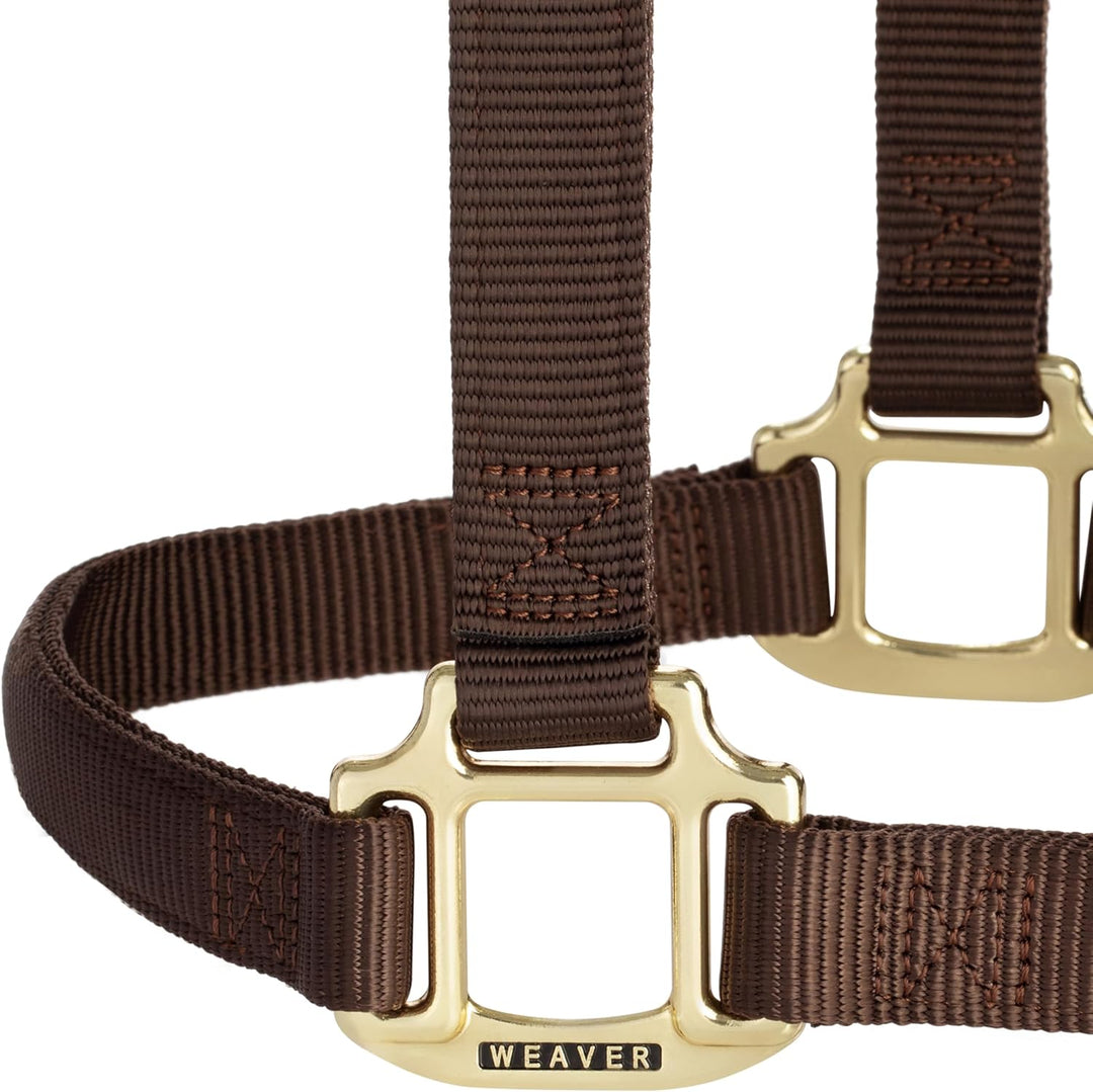 WEAVER Leather, Nicht verstellbares Halfter Braun Average Horse, Braun Average Horse