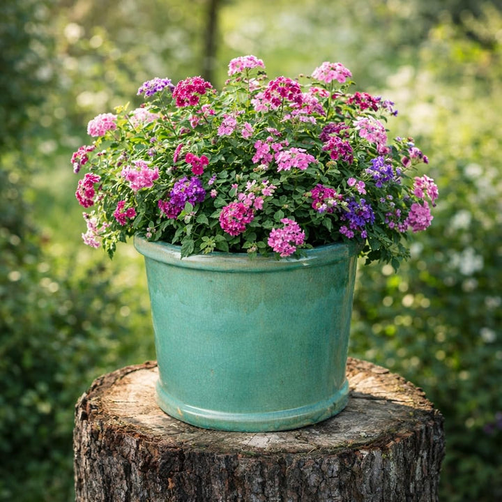 TucanoHamburg Blumentopf, Modell Zylinder Jade, grün/blau 29x25cm, frostfest