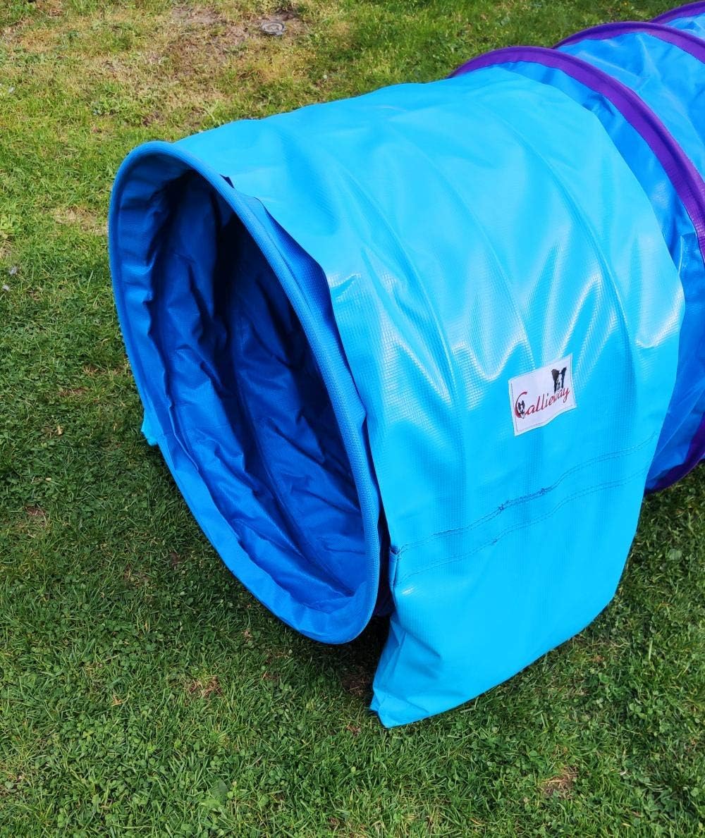 Callieway Agility Tunnel Stützsandsäcke (2er Pack) Standard - org (Cyan 2X)