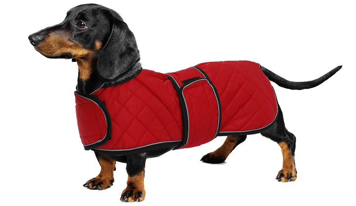 Geyecete - Warmer wintermantel für dackel Hunde,Hunde Winterjacken mit plüschfutter,Outdoor jacken m