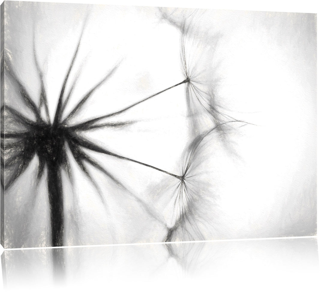 Pusteblumen Kohle Effekt, Format: 100x70 auf Leinwand, XXL riesige Bilder fertig gerahmt mit Keilrah