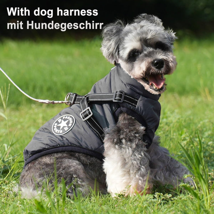 Hundemantel mit Geschirr, wasserdicht, leicht an- und auszuziehen, warme Winterkleidung für Welpen,