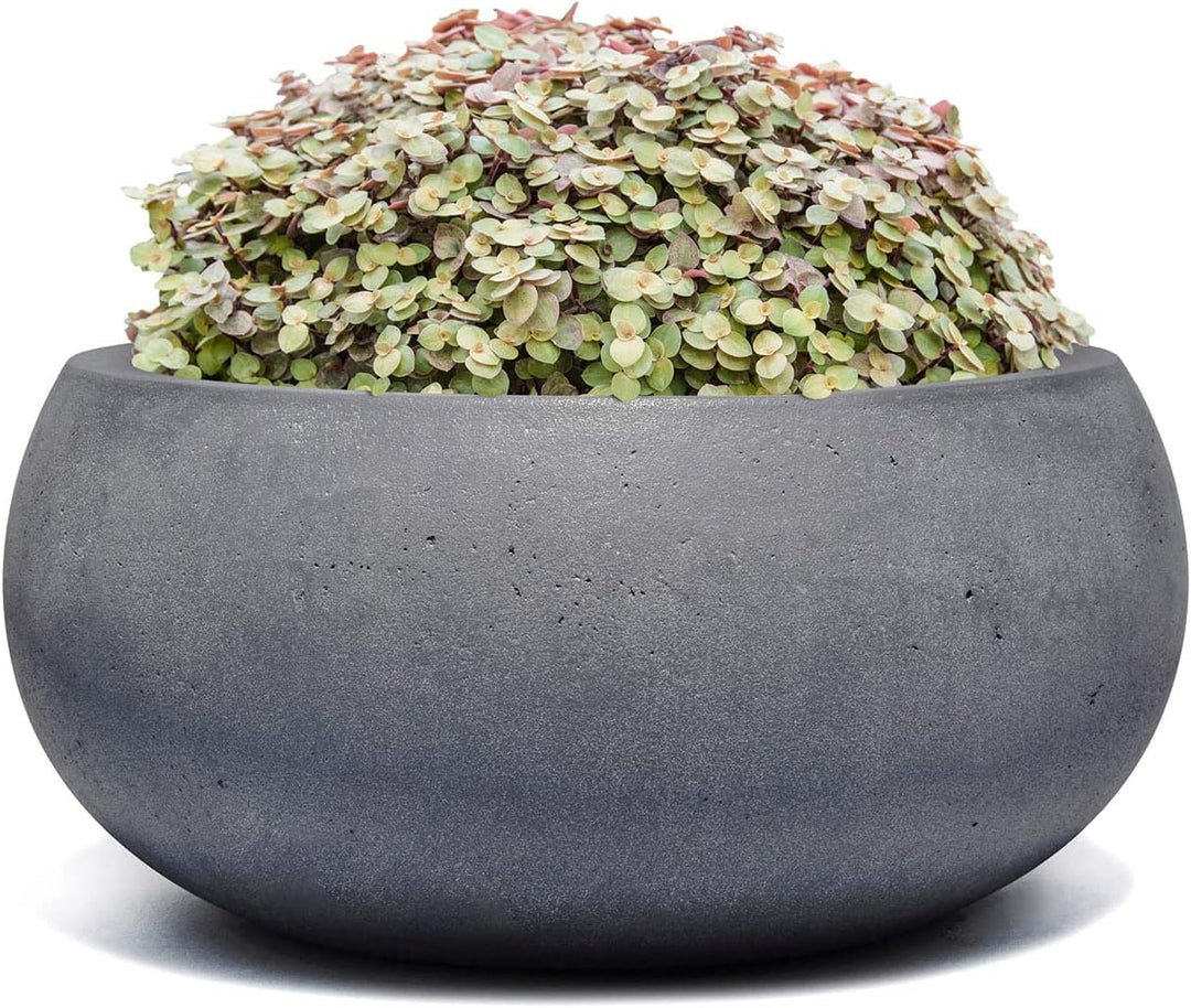 ESCHBACH® Pflanzkübel Low Balloon 40 Blei Grau Schale * 40 x 40 x 18 cm * 10 Jahre Garantie 40x40x18