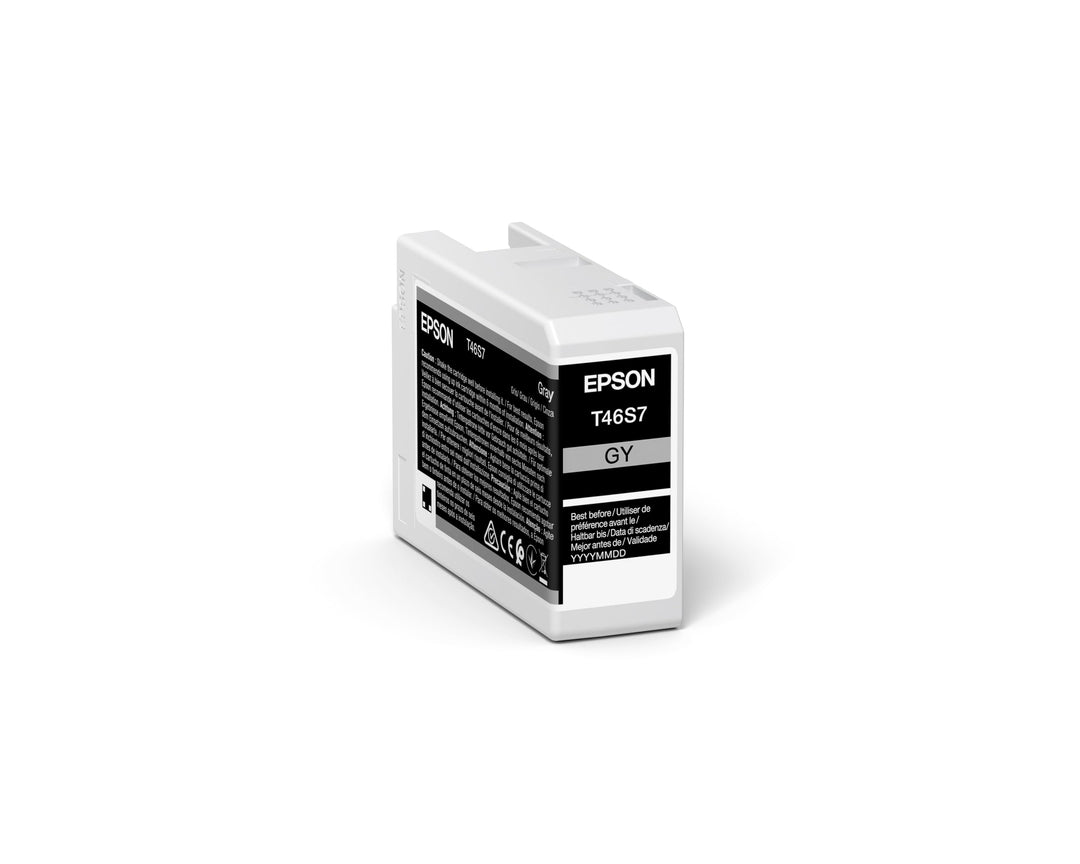 Epson C13T46S700 Tinte grau 25 ml, Standard