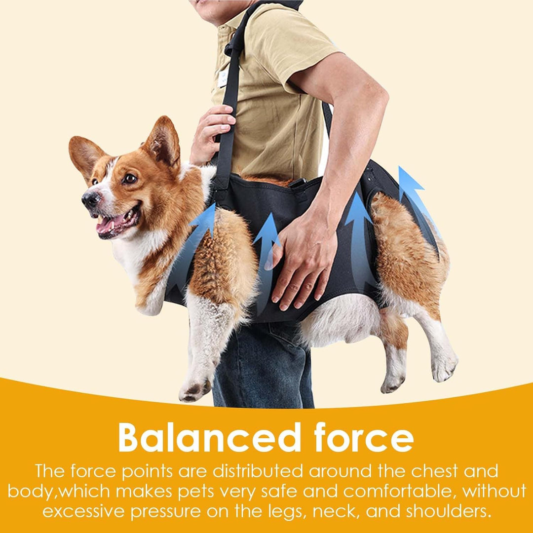 Hundeliftgeschirr, Haustierunterstützung Hund Lift Support für Hunde, Rehabilitation Geschirr Mobili