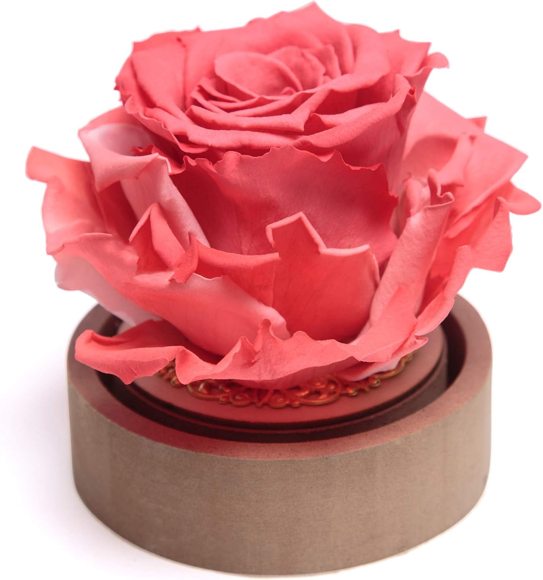 ROSEMARIE SCHULZ Heidelberg Infinity Rose im Glas die Schöne und das Biest echte lanlebige Rose mit