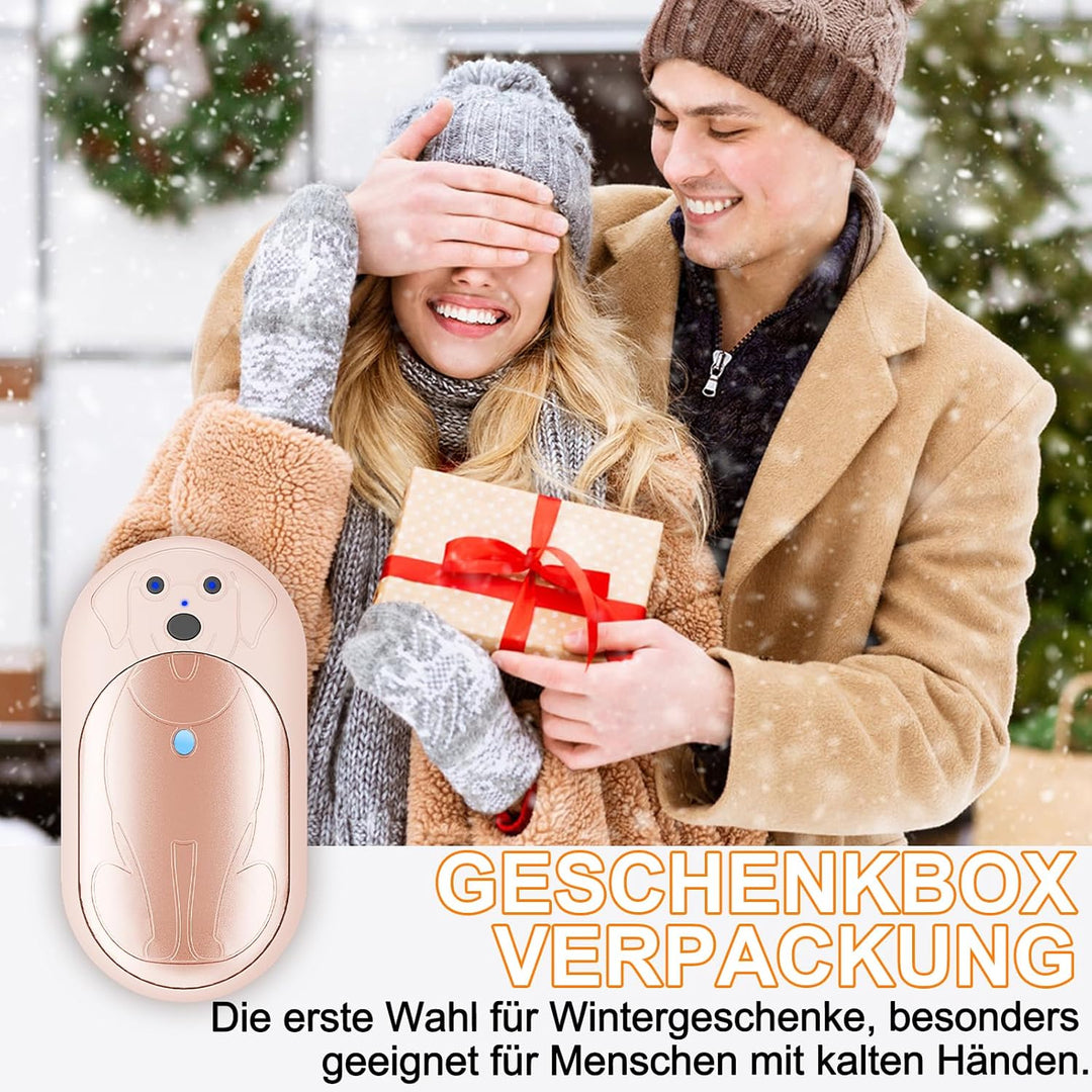 Lepwings Handwärmer Elektrisch, 2er-Pack, 6000 mAh Taschenwärmer Wiederverwendbar mit 3 Modi, 20 Stu