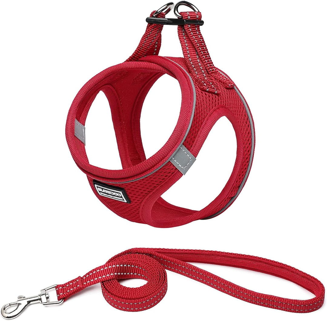 Suredoo Hundegeschirr mit Leine Anti Zug Geschirr Reflektierend Brustgeschirr für Kleine Hunde, Haus