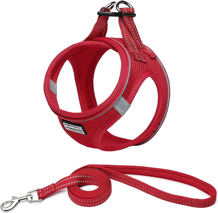 Suredoo Hundegeschirr mit Leine Anti Zug Geschirr Reflektierend Brustgeschirr für Kleine Hunde, Haus