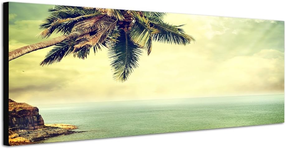 Paul Sinus Art Panoramabild auf Leinwand und Keilrahmen 120x40cm Strand Meer Palme Felsen Vintage