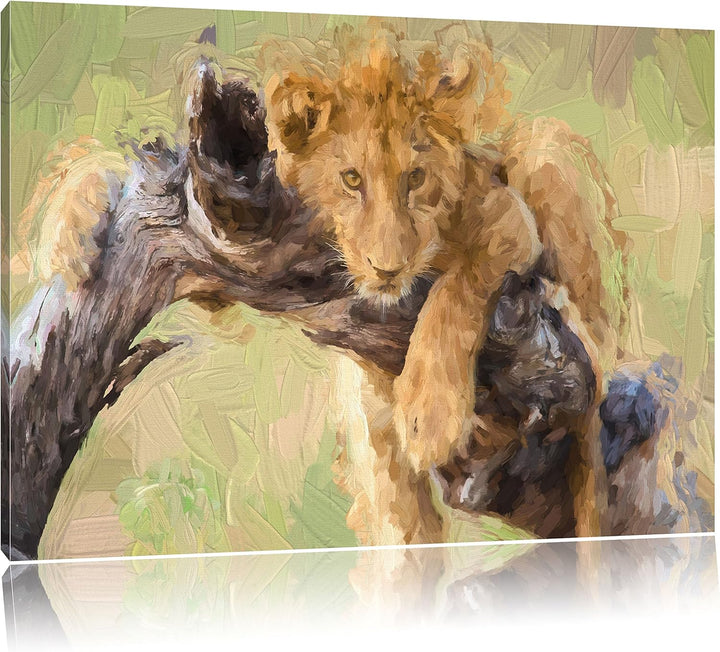 Pixxprint Junger Löwe in der Natur Kunst / 100x70cm Leinwandbild bespannt auf Holzrahmen/Wandbild Ku