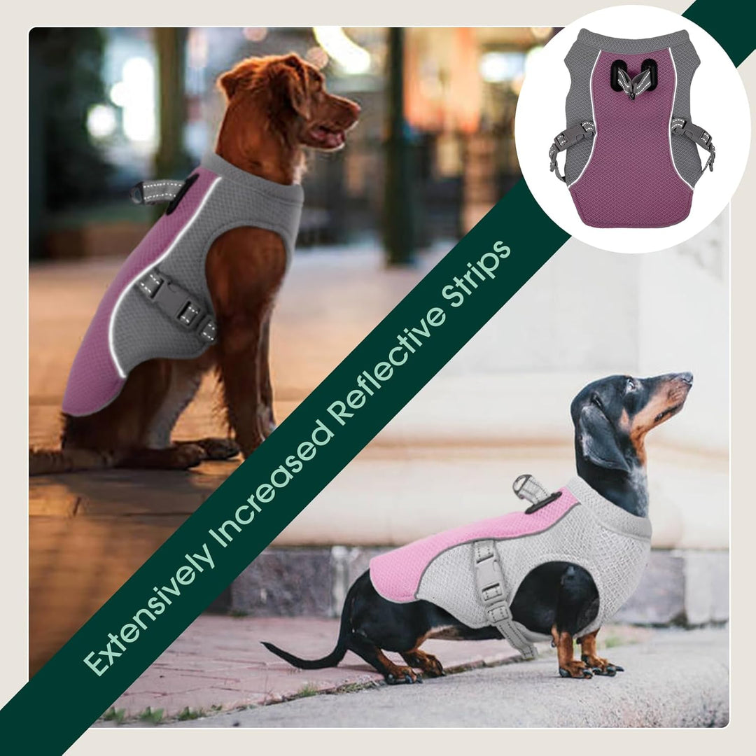 Kuoser Kühlweste für Hunde, Hundekühlungsmantel für heisse Sommertage, Atmungsaktive &amp; Reflektierend